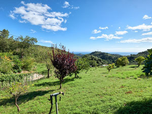 别墅 2 间卧室 259 平方米，位于西班牙埃斯特波纳 — 来自开发商和业主的房地产搜索引擎 GEOLN.COM. 照片 21