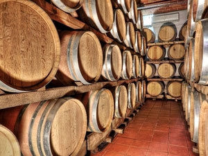 Production in a village in Italy, Tuscany, Livorno — Find off-plan property or real estate resale directly from developers and owners GEOLN.COM. Photo 3