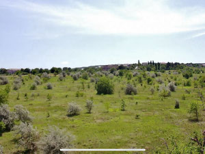 Grundstück mit Wohnkomplexprojekt zum Verkauf in Orhei, Moldawien — Immobilien-Suchservice von Bauträgern und Eigentümern GEOLN.COM. Foto 4