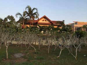 普吉岛上的房子 — 来自开发商和业主的房地产搜索引擎 GEOLN.COM. 照片 5