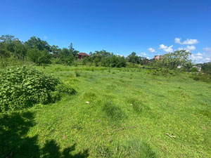 Land plot in Kobuleti — Find off-plan property or real estate resale directly from developers and owners GEOLN.COM. Photo 3