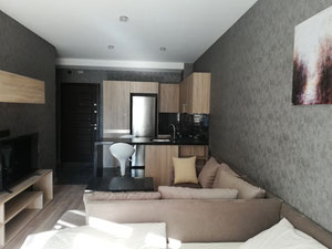 公寓（蝙蝠塔） — 来自开发商和业主的房地产搜索引擎 GEOLN.COM. 照片 4