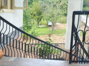 科布莱季待售房屋 — 来自开发商和业主的房地产搜索引擎 GEOLN.COM. 照片 5