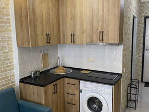 一房公寓出售 New Wave — 来自开发商和业主的房地产搜索引擎 GEOLN.COM. 照片 4