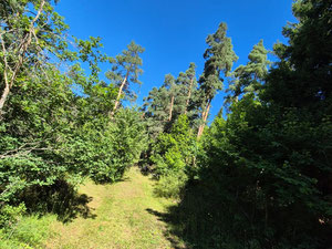 Земля на продажу — Пошуковик нерухомості від забудовників і власників GEOLN.COM. Фото 3