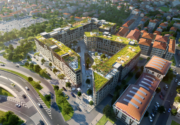 CCT 255 / Investment Opportunity with Rent-Guarantee Apartments