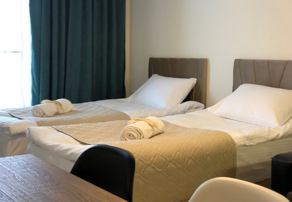 Новый Гудаури Редко