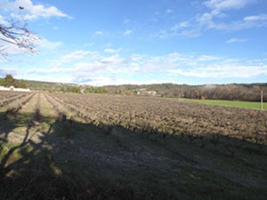 法国别墅, Occitania, Uzès — 来自开发商和业主的房地产搜索引擎 GEOLN.COM. 照片 3