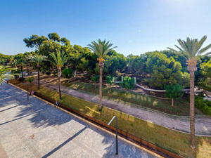 Apartment 3 bedrooms 80 m² in Guardamar del Segura, Spain — Find off-plan property or real estate resale directly from developers and owners GEOLN.COM. Photo 3