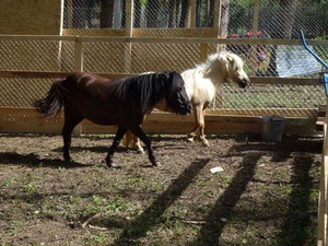 נכס מסחרי אחר בהרים, בפרברים, ביער בבולגריה, אזור Ruse — חיפוש נדל"ן מפרטי ומקבלן GEOLN.COM. תמונה 6