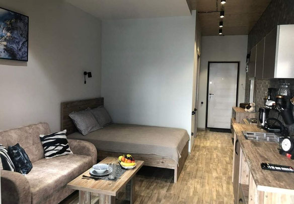 იყიდება 1 ოთახიანი ბინა