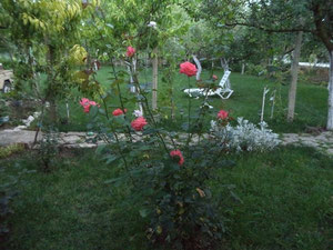 Villa in a village by the sea in Bulgaria, Varna region — Find off-plan property or real estate resale directly from developers and owners GEOLN.COM. Photo 6