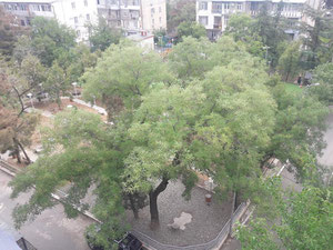 3 комнатная квартира в Сабуртало. Купить квартиру в Тбилиси, Сабуртало — Поисковик недвижимости от застройщиков и собственников GEOLN.COM. Фото 7