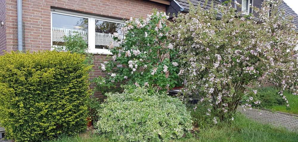 Продается дом в Мюхенгладбахе — Поисковик недвижимости от застройщиков и собственников GEOLN.COM. Фото 1