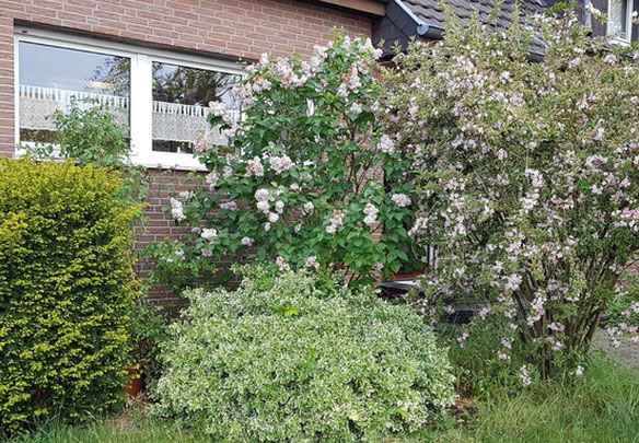 MÖNCHENGLADBACH 2 RESIDENTIAL PROPERTY