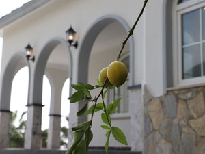 独立别墅，享有全景视野 — 来自开发商和业主的房地产搜索引擎 GEOLN.COM. 照片 5