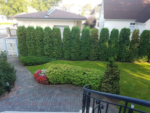 Будинок у лісі, біля моря в Латвії, Юрмала, Пумпурі — Пошуковик нерухомості від забудовників і власників GEOLN.COM. Фото 3