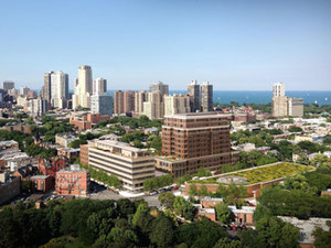 Real estate in Webster Square Condos — look at the real estate search engine GEOLN.COM. Photo 2