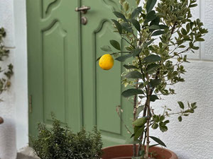 出售在科布列季的独特房屋 — 来自开发商和业主的房地产搜索引擎 GEOLN.COM. 照片 16