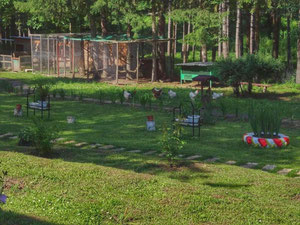 נכס מסחרי אחר בהרים, בפרברים, ביער בבולגריה, אזור Ruse — חיפוש נדל"ן מפרטי ומקבלן GEOLN.COM. תמונה 11