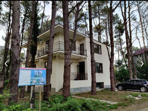 Продається 4х поверхова вілла в Шекветілі. — Пошуковик нерухомості від забудовників і власників GEOLN.COM. Фото 9