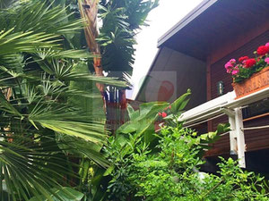 意大利文蒂米利亚海边的豪华房地产 — 来自开发商和业主的房地产搜索引擎 GEOLN.COM. 照片 2