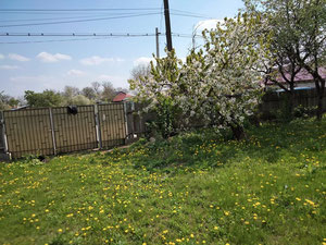 Grundstück zu verkaufen — Immobilien-Suchservice von Bauträgern und Eigentümern GEOLN.COM. Foto 3