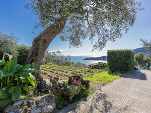 意大利波托韦内雷的海边别墅 — 来自开发商和业主的房地产搜索引擎 GEOLN.COM. 照片 7