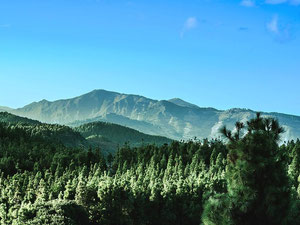 Willa w górach w Hiszpanii, Wyspy Kanaryjskie, Valsequillo de Gran Canaria — Wyszukiwarka nieruchomości od deweloperów i właścicieli GEOLN.COM. Zdjęcie 12