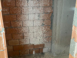 出售位于Bamboo beach的公寓 — 来自开发商和业主的房地产搜索引擎 GEOLN.COM. 照片 8