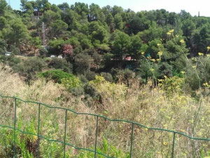 西班牙、加泰罗尼亚、滨海托萨的地块 — 来自开发商和业主的房地产搜索引擎 GEOLN.COM. 照片 2