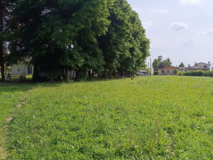 Villa near Padua (Italy) – new home in a prestigious area of Veneto — Find off-plan property or real estate resale directly from developers and owners GEOLN.COM. Photo 11