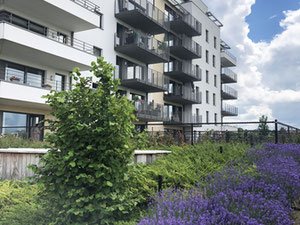 Real estate in LAlliance Chapitre I — look at the real estate search engine GEOLN.COM. Photo 2