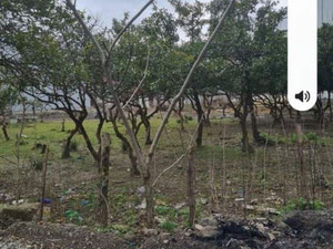 卡卡贝里待售地块 — 来自开发商和业主的房地产搜索引擎 GEOLN.COM. 照片 3