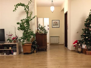 维拉的3间房间的公寓。在维拉第比利斯购买公寓 — 来自开发商和业主的房地产搜索引擎 GEOLN.COM. 照片 2