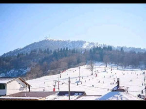 巴库里亚尼的小屋 — 来自开发商和业主的房地产搜索引擎 GEOLN.COM. 照片 5