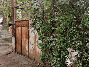 Tiflis — Encuentre propiedades fuera del plan o reventa de bienes inmuebles directamente de desarrolladores y propietarios GEOLN.COM. Foto 3