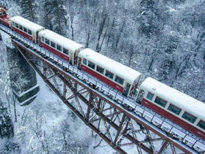 Land plot for sale Bakuriani — Find off-plan property or real estate resale directly from developers and owners GEOLN.COM. Photo 2