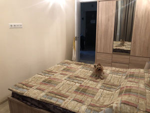 奥美广场待售2房公寓 — 来自开发商和业主的房地产搜索引擎 GEOLN.COM. 照片 5