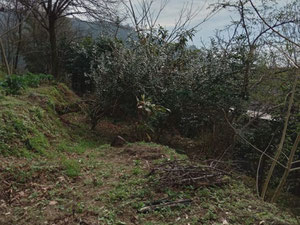 Gonio 的橘园地块 — 来自开发商和业主的房地产搜索引擎 GEOLN.COM. 照片 4