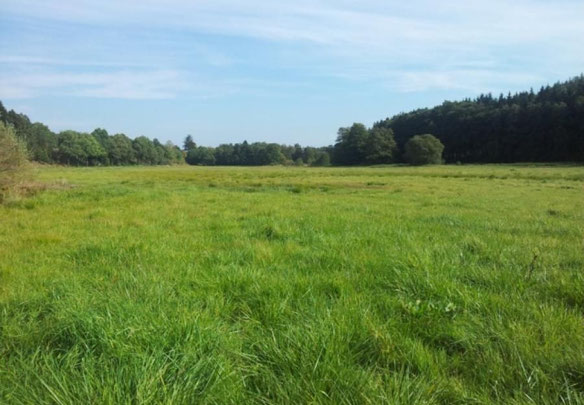 Квартира в Чехии, Прага, Липаны Продажа