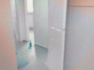 Офіс з орендарем у центральному розташуванні - неймовірна можливість! — Пошуковик нерухомості від забудовників і власників GEOLN.COM. Фото 12