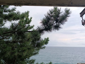 酒店 — 来自开发商和业主的房地产搜索引擎 GEOLN.COM. 照片 8