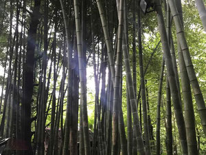 山间餐厅。提克纳斯 — 来自开发商和业主的房地产搜索引擎 GEOLN.COM. 照片 20