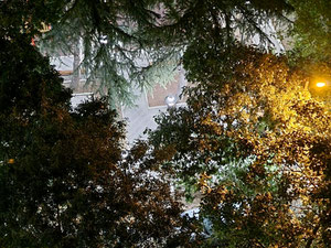 在第比利斯的公寓。 — 来自开发商和业主的房地产搜索引擎 GEOLN.COM. 照片 17