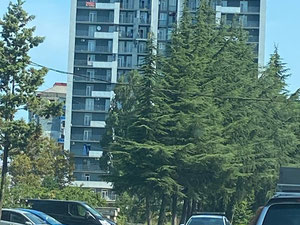 Studio 1+1 — Wyszukiwarka nieruchomości od deweloperów i właścicieli GEOLN.COM. Zdjęcie 9