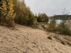 Ziemia przy jeziorze — Wyszukiwarka nieruchomości od deweloperów i właścicieli GEOLN.COM. Zdjęcie 3