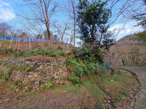 地块与建筑 — 来自开发商和业主的房地产搜索引擎 GEOLN.COM. 照片 11