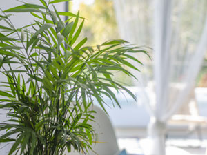 绿线公寓 — 来自开发商和业主的房地产搜索引擎 GEOLN.COM. 照片 37