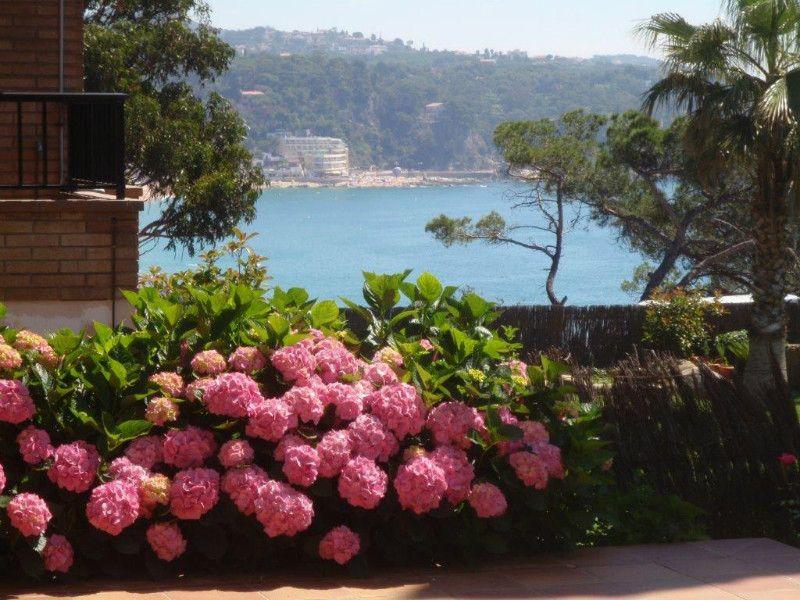 Willa nad morzem w Hiszpanii, Katalonii, Girona — Wyszukiwarka nieruchomości od deweloperów i właścicieli GEOLN.COM. Zdjęcie 1